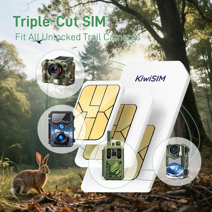 50GB 2 Years | For Trail Camera & Security Camera