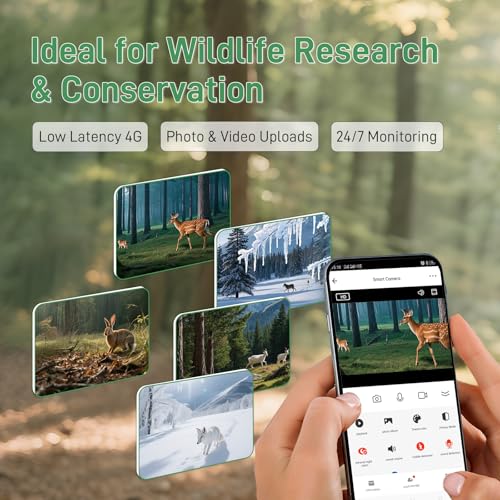 KiwiSIM 2PCS LTE IoT Data SIM Card 50GB 2 Years for Trail Camera & Security Camera
